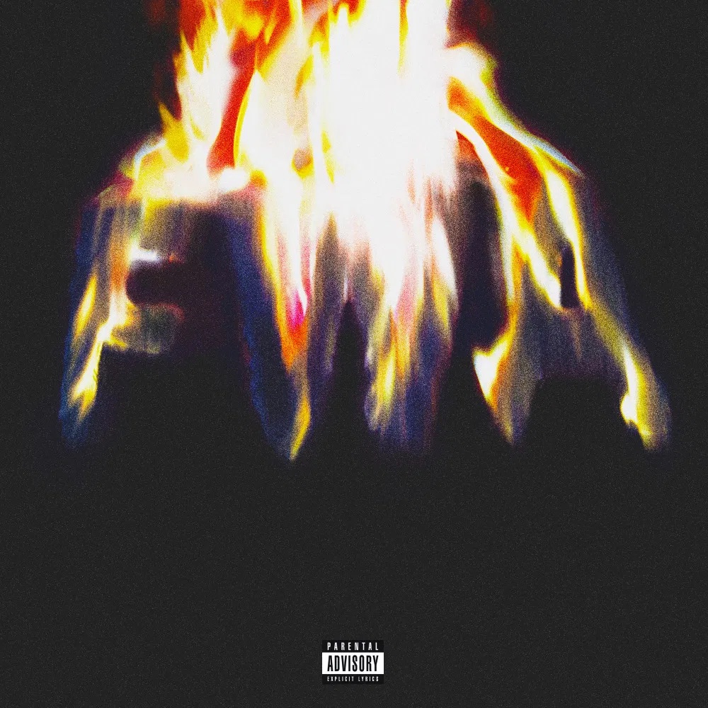 Lil Wayne - Free Weezy Album (Various)